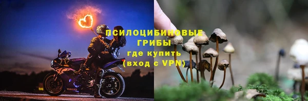 ALPHA PVP Володарск