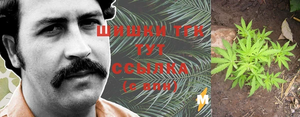 трава Вяземский
