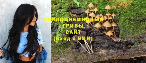ALPHA PVP Володарск