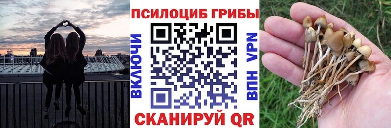 Галлюциногенные грибы Magic Shrooms  купить наркоту  blacksprut ссылка  Нальчик 